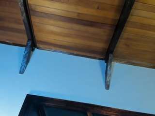 emiliwilliams webcam