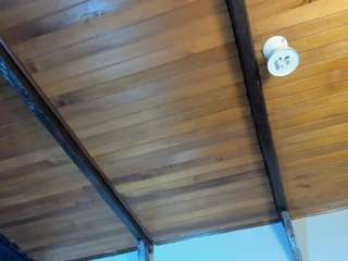 emiliwilliams webcam