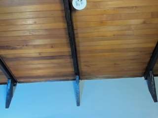 emiliwilliams's CamSoda show and profile