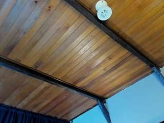 emiliwilliams's live room