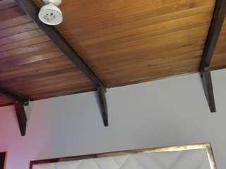emiliwilliams