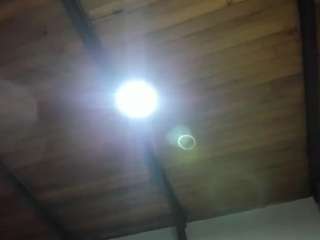 EmiliWilliams live cam preview