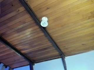 emiliwilliams