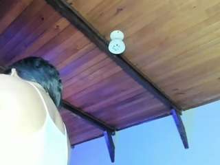 emiliwilliams