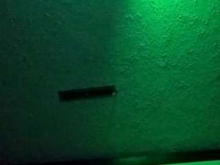 palelaram webcam model