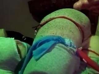 Papipolla