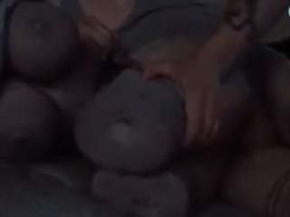 Papipolla