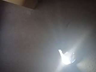 palelaram
