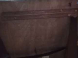 Papipolla