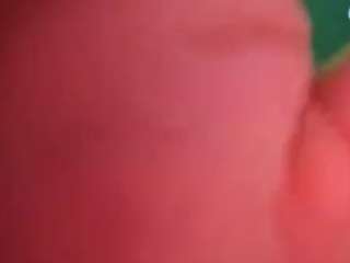 palelaram