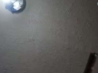 palelaram's live room
