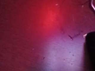 palelaram