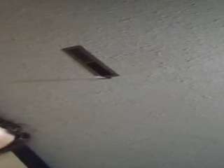 Papipolla