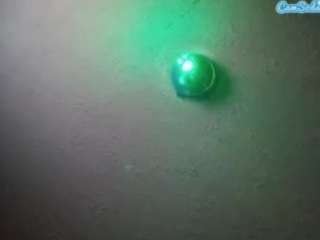 palelaram