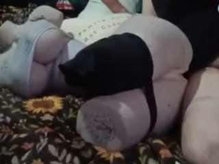 Papipolla live cam preview