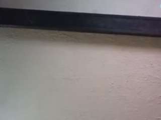 palelaram's live room