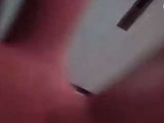 Papipolla