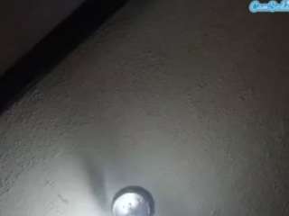 palelaram