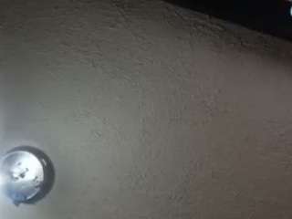 palelaram's live room