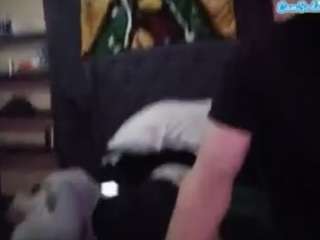 Papipolla