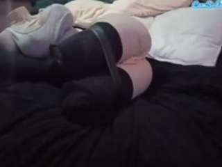 Papipolla