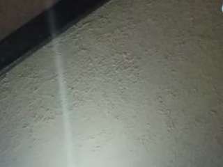 Papipolla