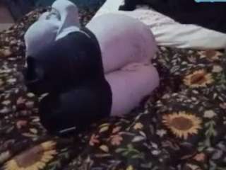 Papipolla