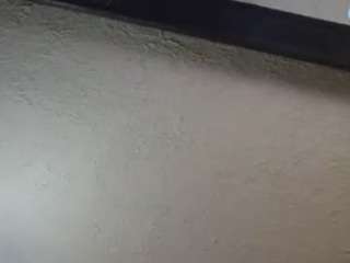 palelaram