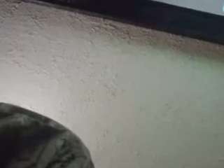 Papipolla live cam preview