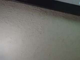 Papipolla