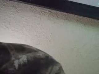 palelaram