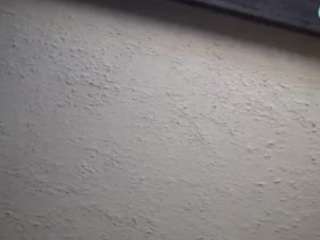 Papipolla live cam preview