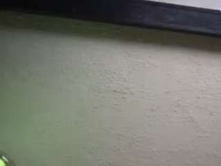 Papipolla live cam preview