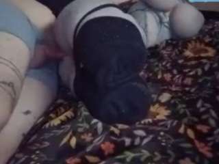 Papipolla live cam preview