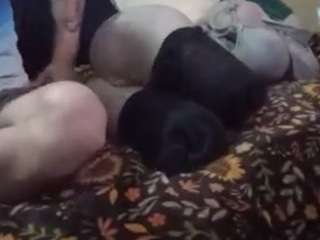 Papipolla live cam preview
