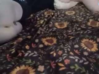Papipolla live cam preview