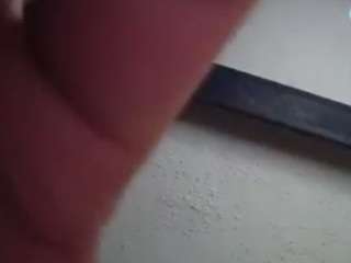 Papipolla