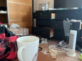 DiamondTyler live cam preview