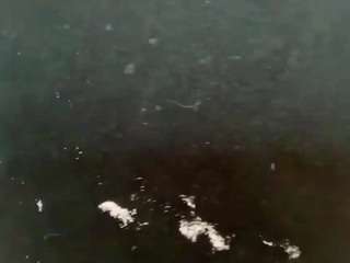 DiamondTyler live cam preview