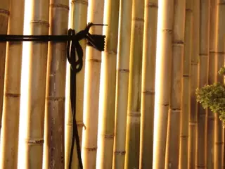 KuramaKatana's Live Sex Cam Show