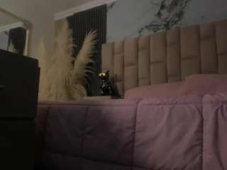 emmatorrees live cam profile