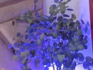 sofydubros live cam