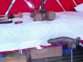 susancouper Sex Cam Show