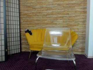  aisharouhi chat room