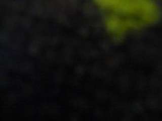 aisharouhi Live Webcam on CamSoda