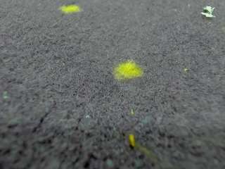 le modèle aisharouhi est en webcam porno dans un show sur le site camsoda, il possède les tags suivants: anal,spank,oil,orgasm,playdildo,pov,pussy,sexy,shaved,shaved pussy,smoking,squirter,lovense,strip,swallow,tattoos,tease,teen (18+),tittyfuck,toys