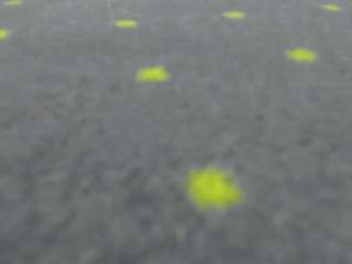 aisharouhi live cam profile