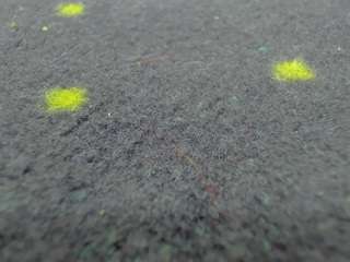 aisharouhi live cam profile