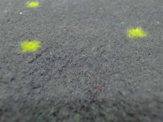 aisharouhi live cam profile