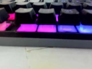nikkitatsx